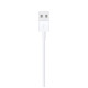 Cable de charge iphone 0.5m lightning Apple ME291ZM/A