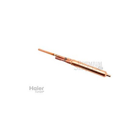 Filtre pour refrigerateur 0060703266 Haier 49053726