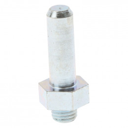 Boulon charnihre pour refrigerateur Bosch 00424398