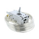 Thermostat k59p1704 ranco pour refrigerateur Electrolux 205470605