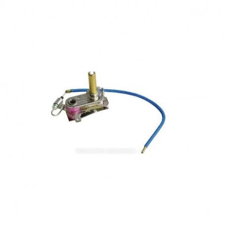 Thermostat + fusible 356a pour centrale vapeur Astoria 500583474