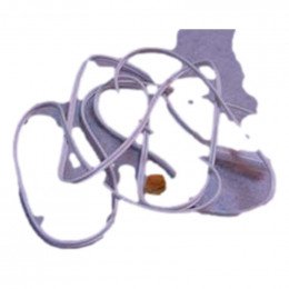 Sonde pour refrigerateur Panasonic CNRAG-156650