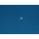 Porte couvercle charniere fich pour seche-linge Liebherr 413813