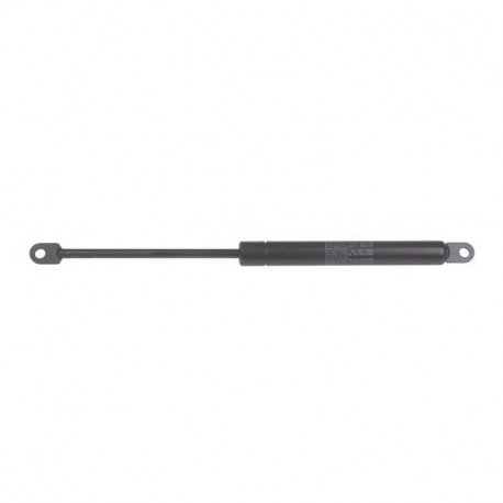 Verin porte 300n cuisson Scholtes C00136997