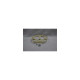 Kit poulie pour lave-linge Electrolux 5029475700