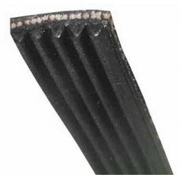 Courroie 1195j5 mael pour lave-linge Electrolux U693559 Courroie 1195j5 mael pour lave-linge Electrolux U693559